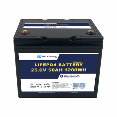 OEM ODM ABS بطارية قارب بحري مضادة للأشعة فوق البنفسجية 24V 50AH بطارية الليثيوم LiFePO4 مع BT